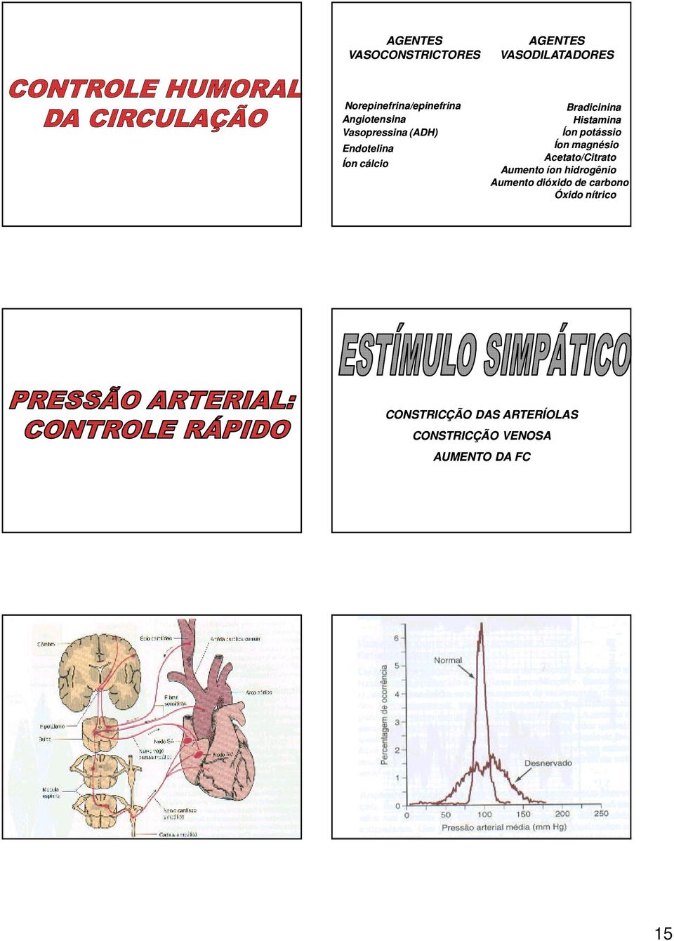 potássio Íon magnésio Acetato/Citrato Aumento íon hidrogênio Aumento dióxido de