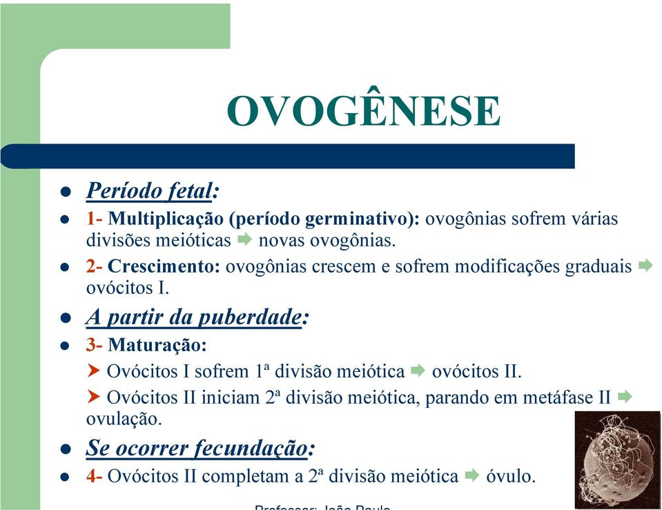 A partir da puberdade: 3- Maturação: Ovócitos I sofrem 1ª divisão meiótica ovócitos II.