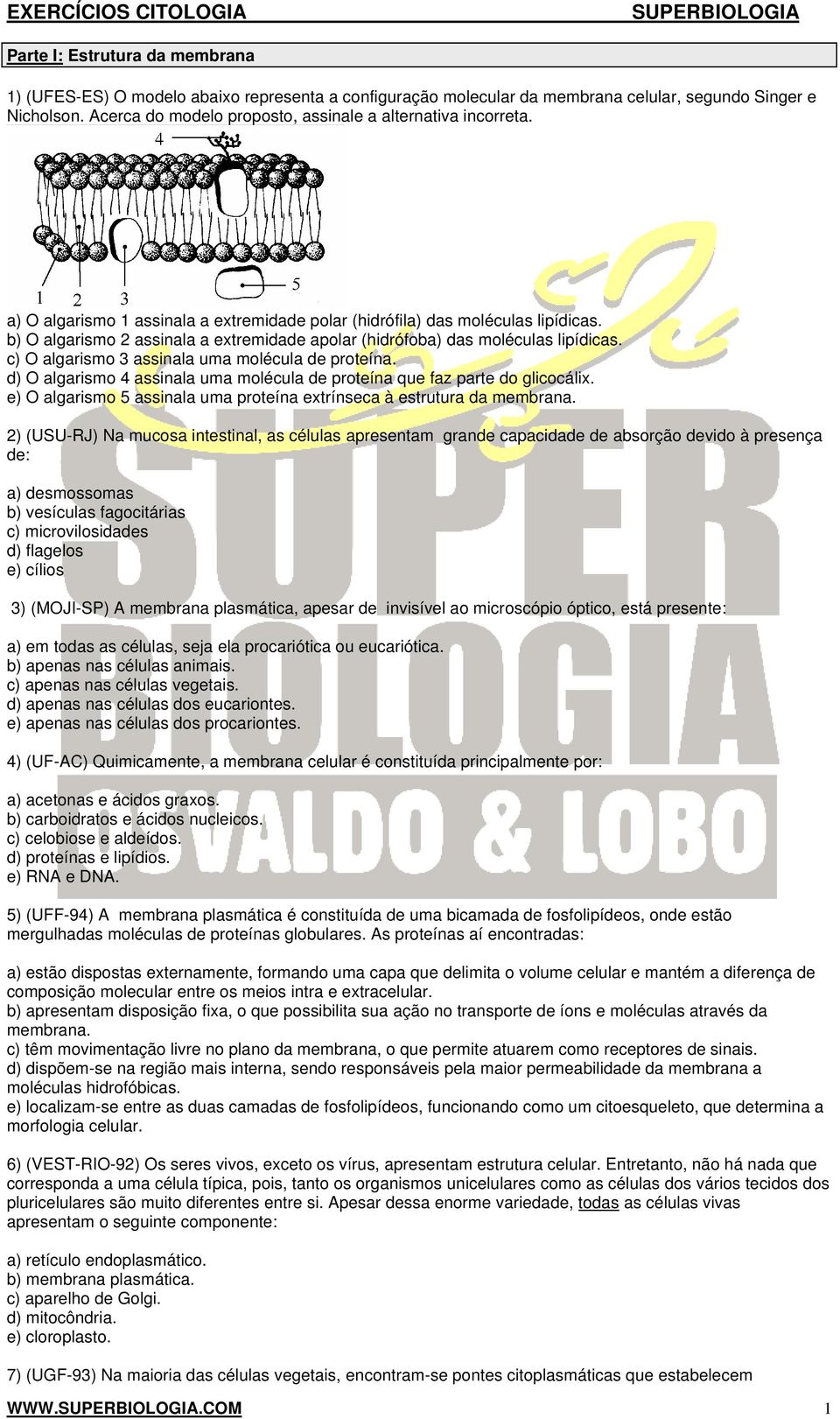 b) O algarismo 2 assinala a extremidade apolar (hidrófoba) das moléculas lipídicas. c) O algarismo 3 assinala uma molécula de proteína.