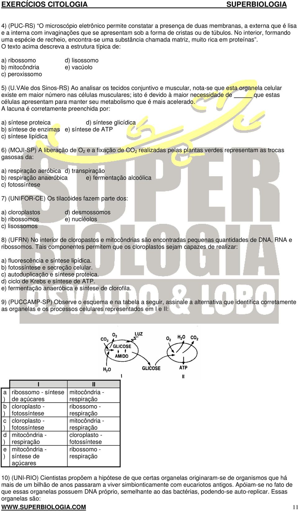 O texto acima descreva a estrutura típica de: a) ribossomo d) lisossomo b) mitocôndria e) vacúolo c) peroxissomo 5) (U.