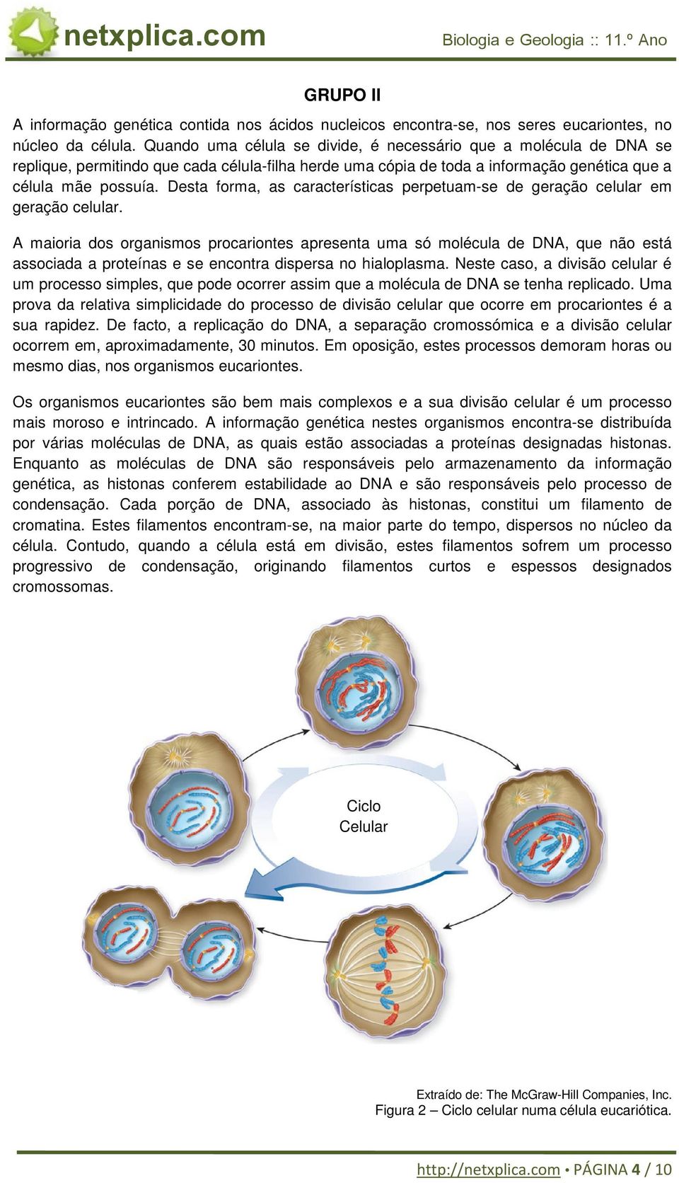 Desta forma, as características perpetuam-se de geração celular em geração celular.