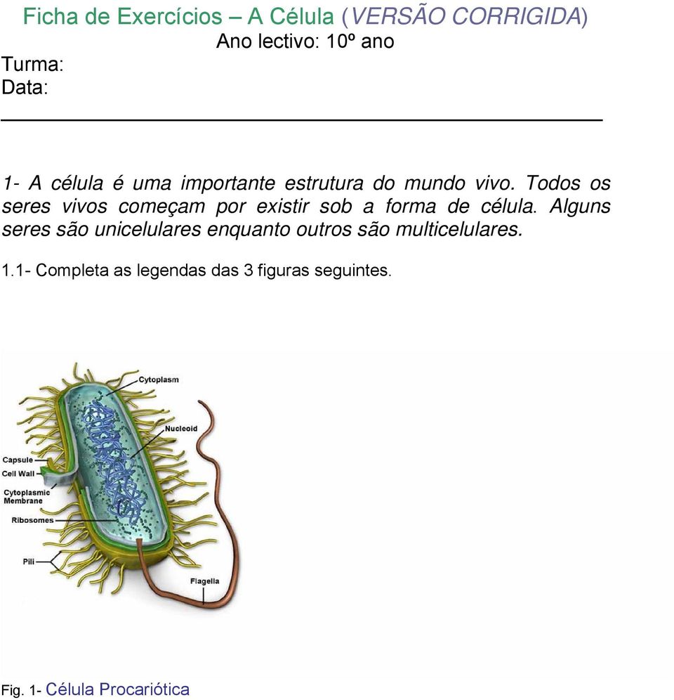 Todos os seres vivos começam por existir sob a forma de célula.