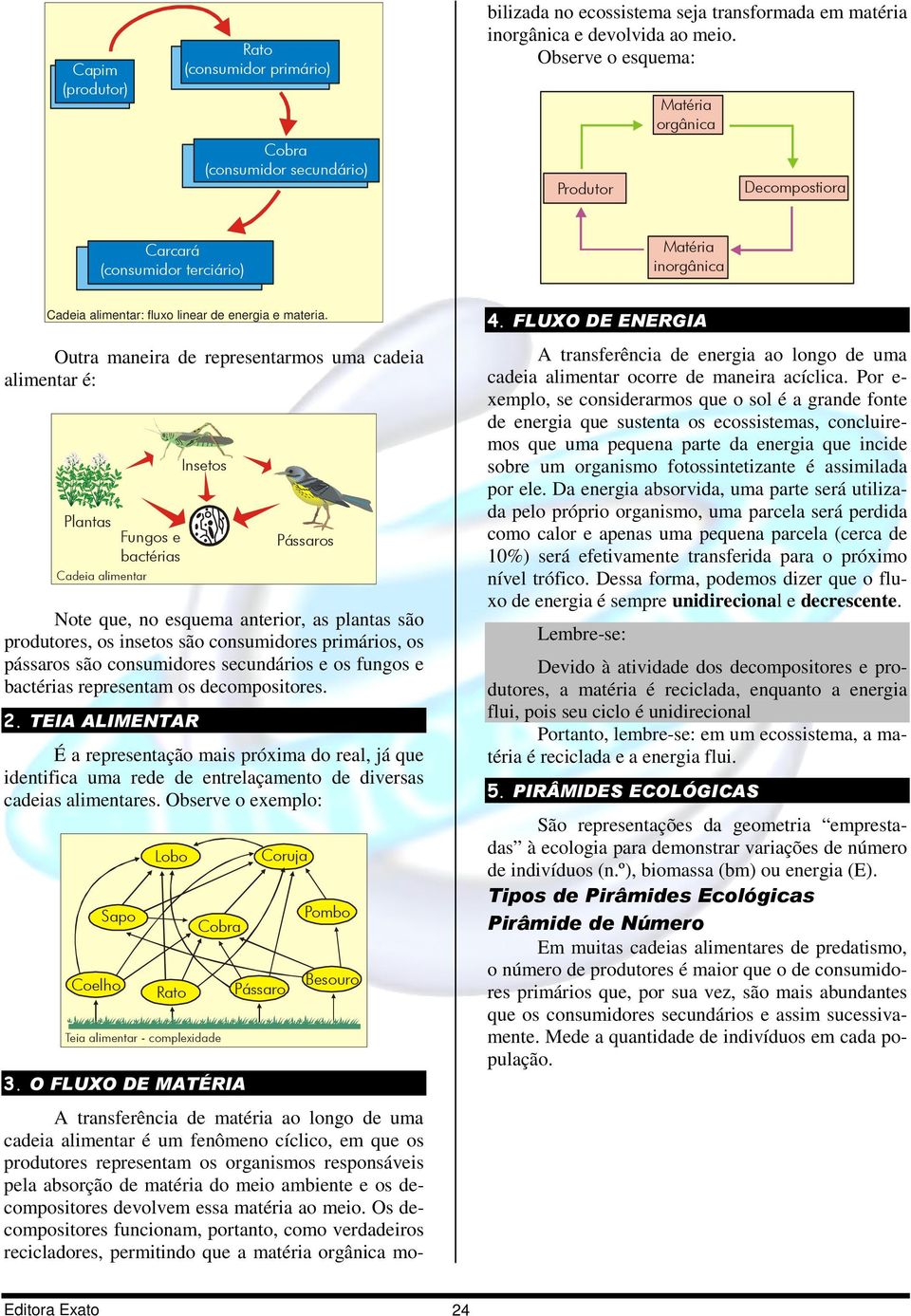 Os decompositores funcionam, portanto, como verdadeiros recicladores, permitindo que a matéria orgânica mobilizada no ecossistema seja transformada em matéria inorgânica e devolvida ao meio.