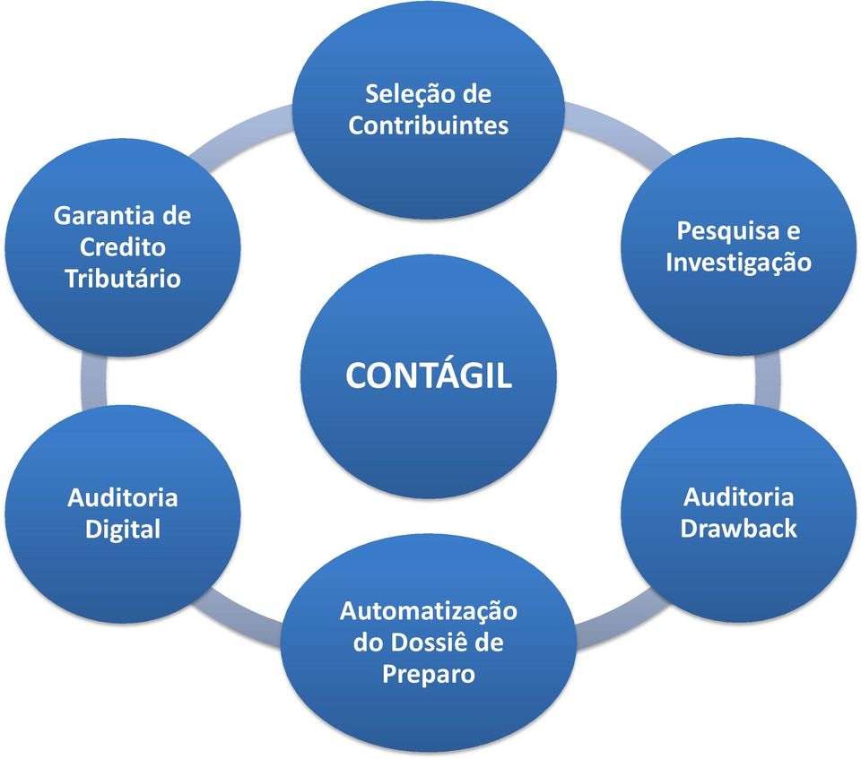 Investigação CONTÁGIL Auditoria Digital