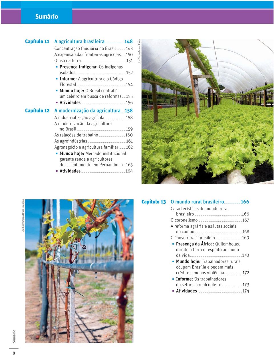 ..158 A industrialização agrícola...158 A modernização da agricultura no Brasil...159 As relações de trabalho... 160 As agroindústrias...161 Agronegócio e agricultura familiar.