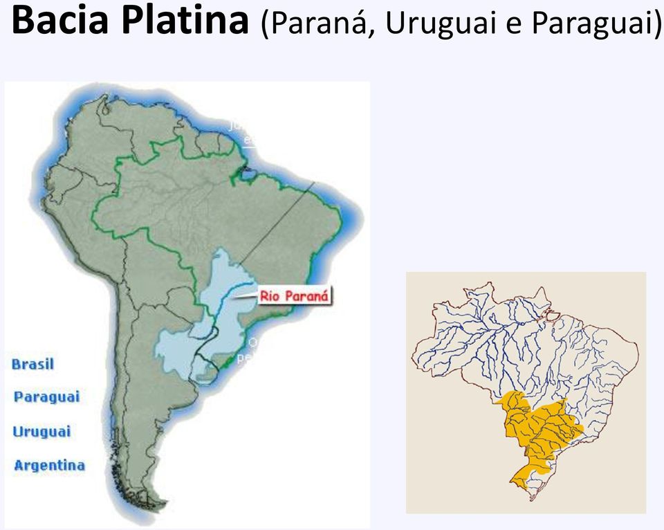 (Paraná,