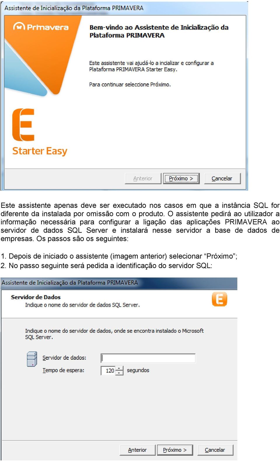 O assistente pedirá ao utilizador a informação necessária para configurar a ligação das aplicações PRIMAVERA ao servidor de