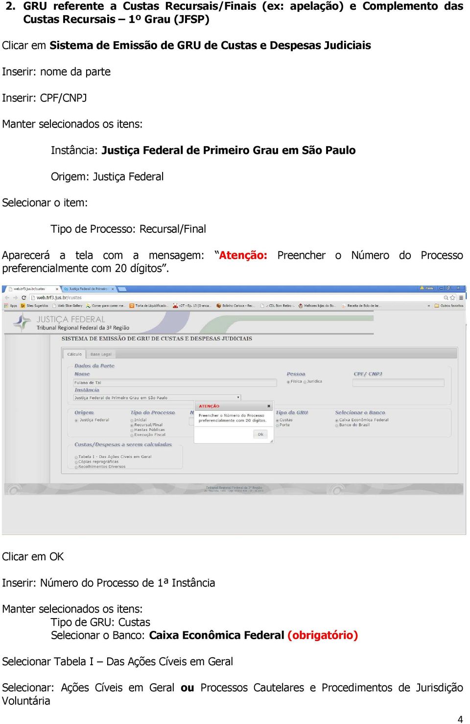 com a mensagem: Atenção: Preencher o Número do Processo preferencialmente com 20 dígitos.