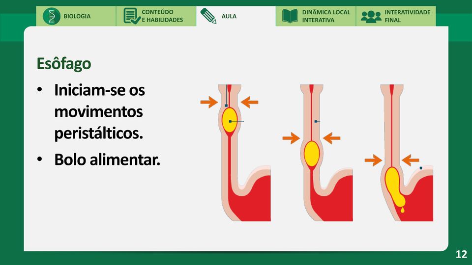 movimentos