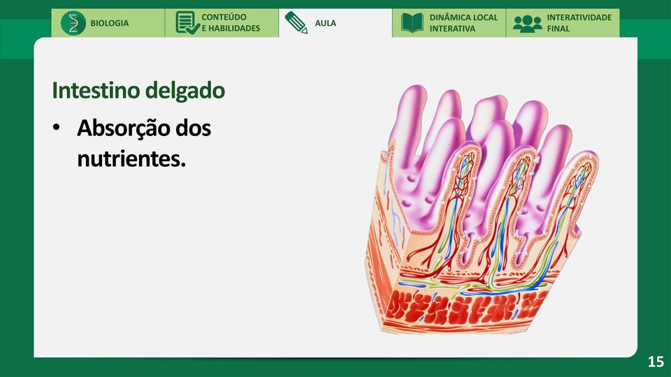 Absorção