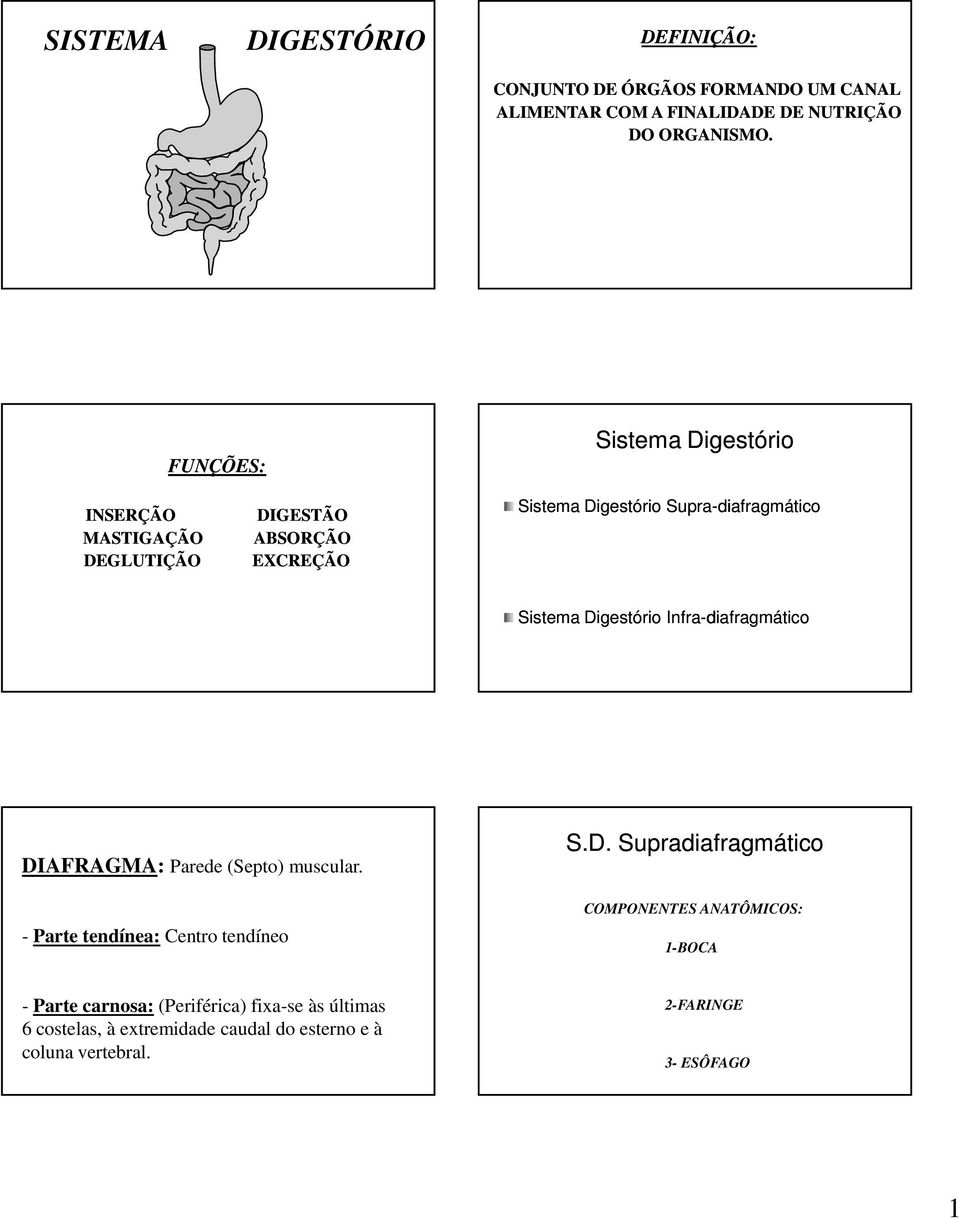 Digestório Infra-diafragmático DIAFRAGMA: Parede (Septo) muscular. - Parte tendínea: Centro tendíneo S.D. Supradiafragmático COMPONENTES
