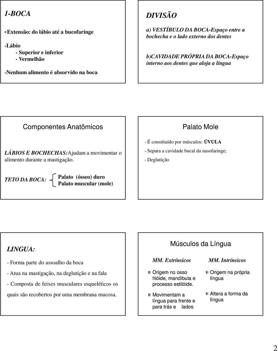 Palato Mole - É constituído por músculos: ÚVULA - Separa a cavidade bucal da nasofaringe; - Deglutição TETO DA BOCA: Palato (ósseo) duro Palato muscular (mole) LINGUA: Músculos da Língua - Forma