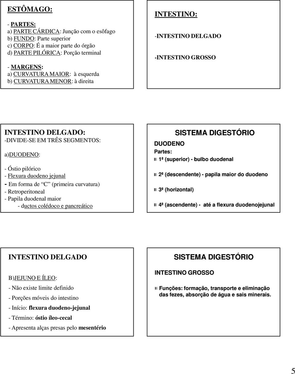 (primeira curvatura) - Retroperitoneal - Papila duodenal maior - ductos colédoco e pancreático SISTEMA DIGESTÓRIO DUODENO Partes: 1ª (superior) - bulbo duodenal 2ª (descendente) - papila maior do