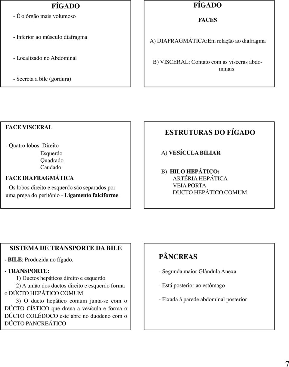 ESTRUTURAS DO FÍGADO A) VESÍCULA BILIAR B) HILO HEPÁTICO: ARTÉRIA HEPÁTICA VEIA PORTA DUCTO HEPÁTICO COMUM SISTEMA DE TRANSPORTE DA BILE - BILE: Produzida no fígado.