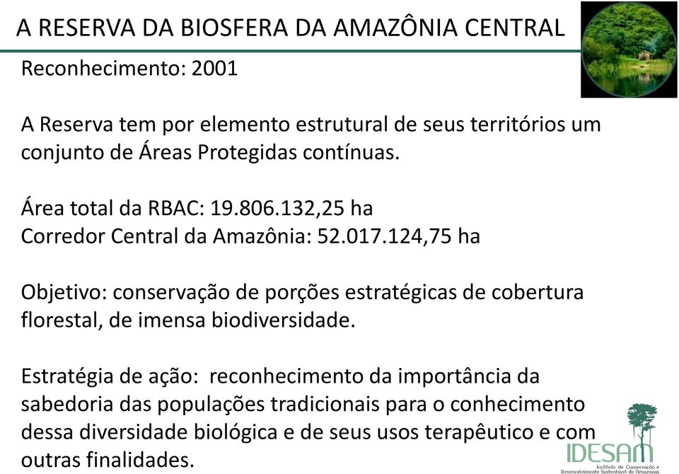 124,75 ha Objetivo: conservação de porções estratégicas de cobertura florestal, de imensa biodiversidade.