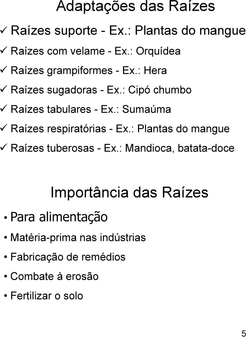 : Sumaúma Raízes respiratórias i - Ex.: Plantas do mangue Raízes tuberosas - Ex.