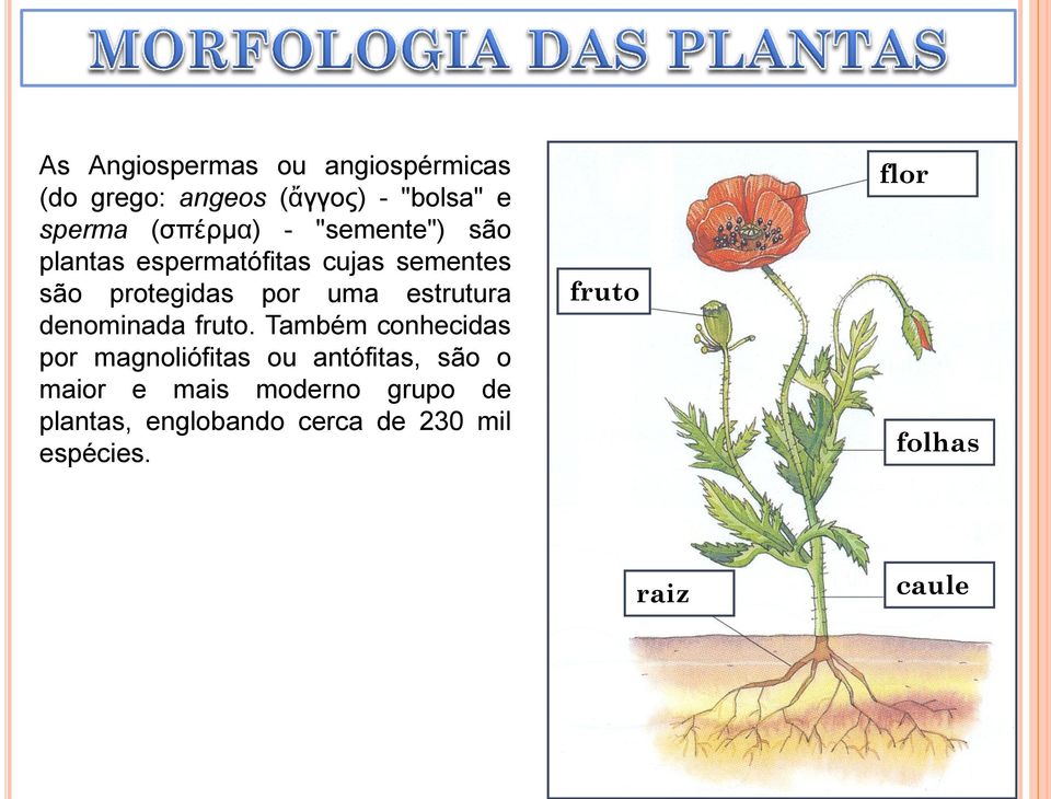 denominada fruto.