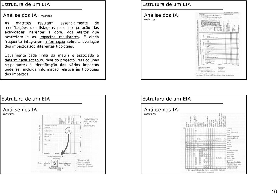 É ainda frequente integrarem informação sobre a avaliação dos impactos sob diferentes tipologias.