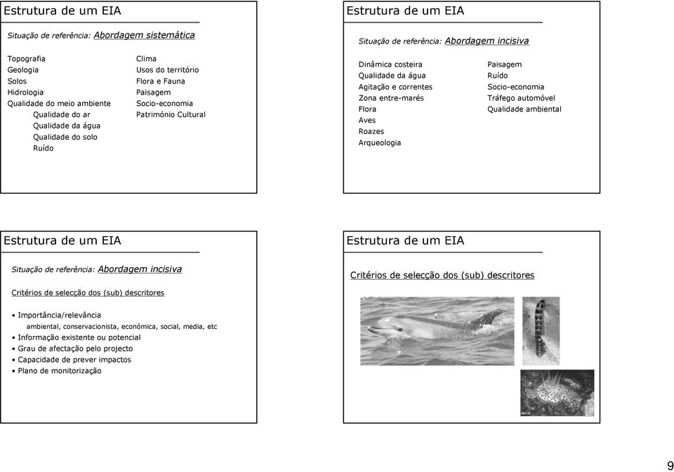 Paisagem Ruído Socio-economia Tráfego automóvel Qualidade ambiental Situação de referência: Abordagem incisiva Critérios de selecção dos (sub) descritores Critérios de selecção dos (sub) descritores