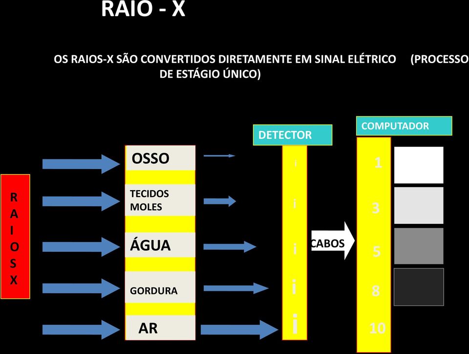 OSSO DETECTOR i COMPUTADOR 1 R A I O S X