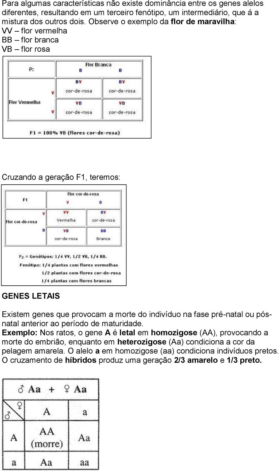 indivíduo na fase pré-natal ou pósnatal anterior ao período de maturidade.