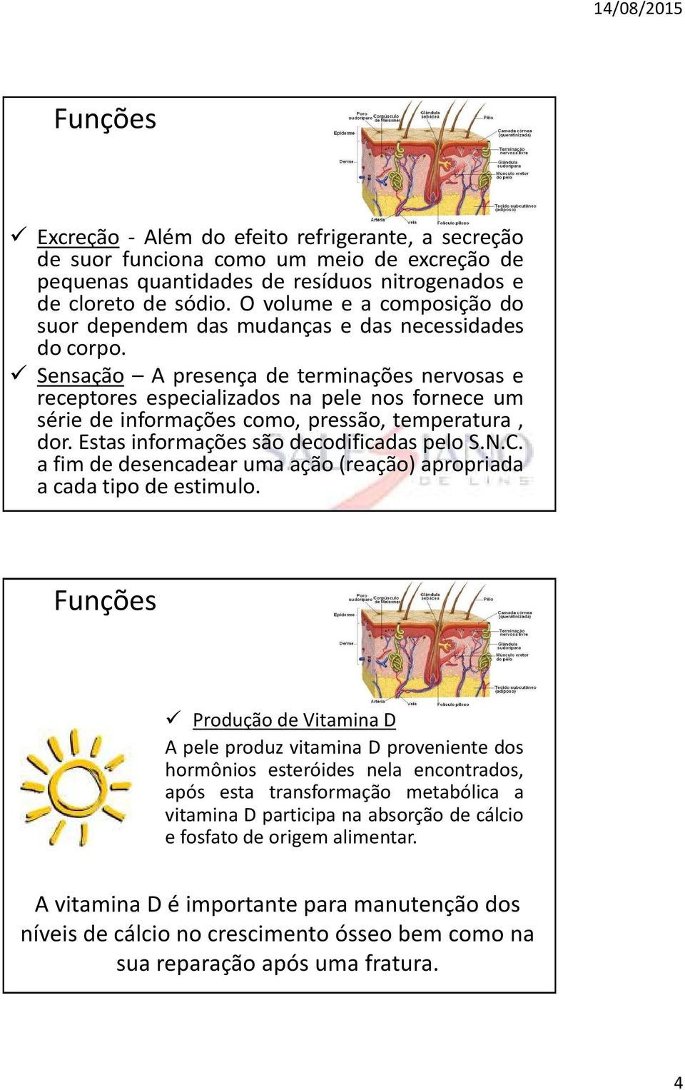 Sensação A presença de terminações nervosas e receptores especializados na pele nos fornece um série de informações como, pressão, temperatura, dor. Estas informações são decodificadas pelo S.N.C.