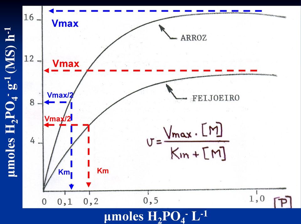 Vmax Vmax/2 Vmax/2