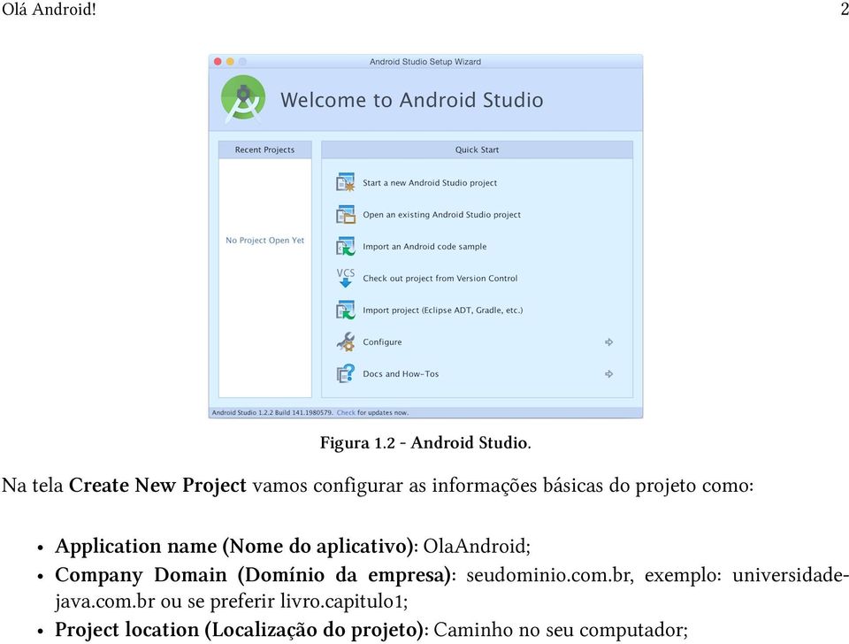 Application name (Nome do aplicativo): OlaAndroid; Company Domain (Domínio da empresa):