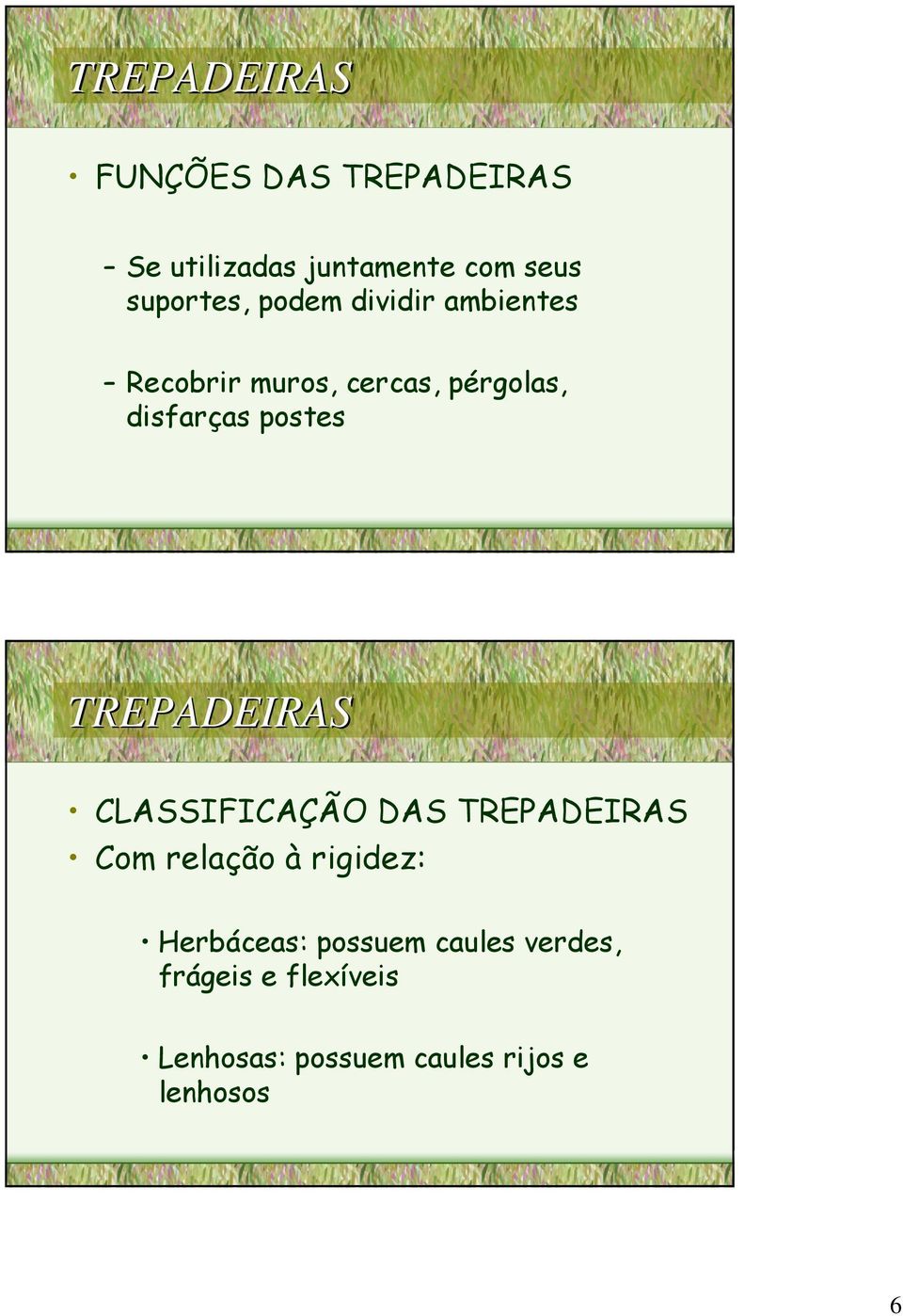 postes CLASSIFICAÇÃO DAS Com relação à rigidez: Herbáceas: possuem
