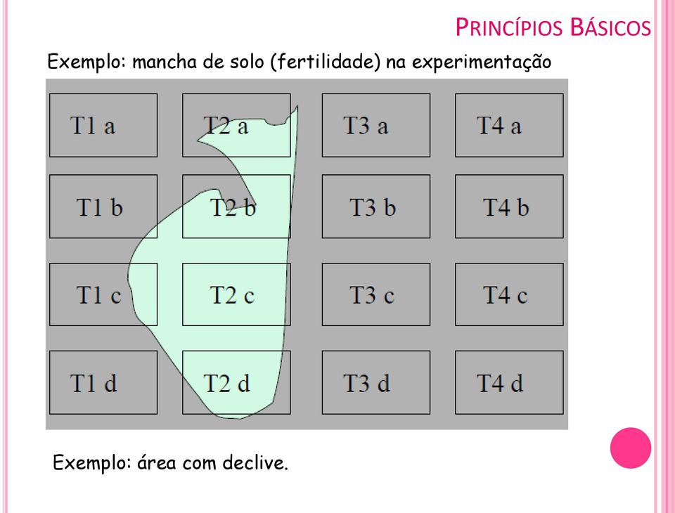 experimentação PRINCÍPIOS