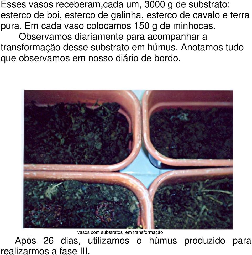 Observamos diariamente para acompanhar a transformação desse substrato em húmus.