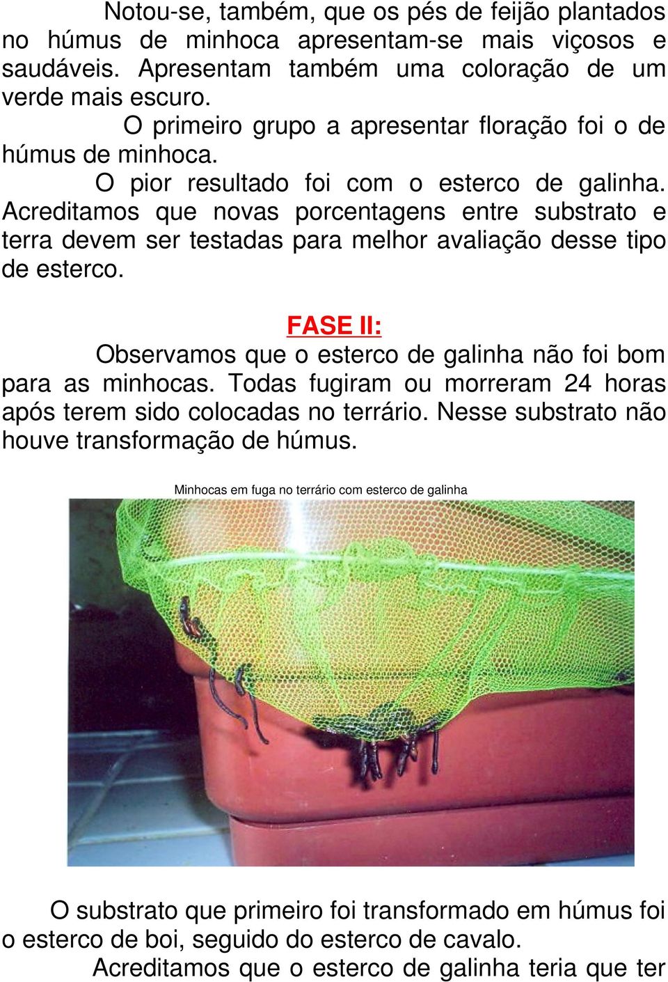 Acreditamos que novas porcentagens entre substrato e terra devem ser testadas para melhor avaliação desse tipo de esterco. FASE II: Observamos que o esterco de galinha não foi bom para as minhocas.