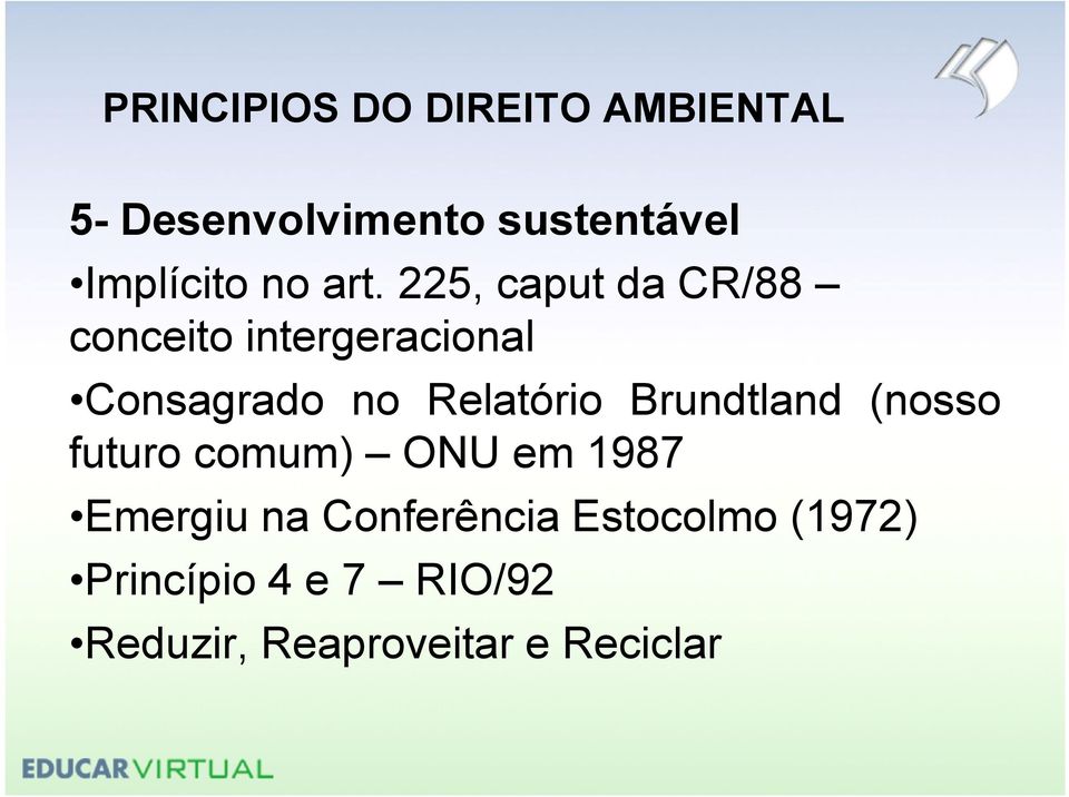 225, caput da CR/88 conceito intergeracional Consagrado no Relatório