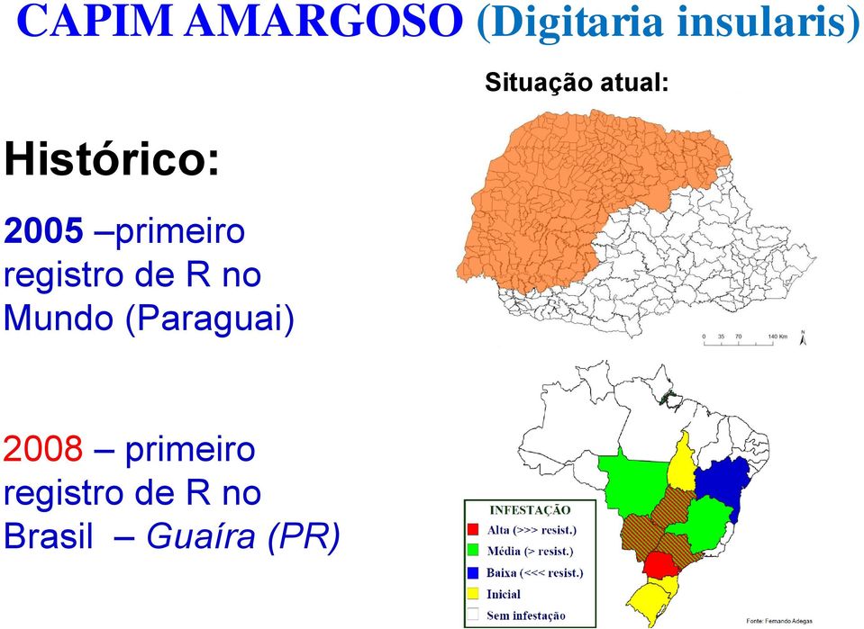 no Mundo (Paraguai) Situação atual: 2008