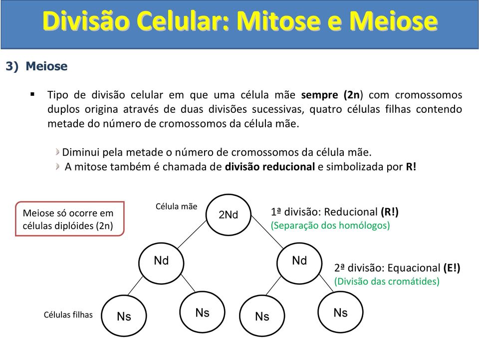 Diminui pela metade o número de cromossomos da célula mãe. A mitose também é chamada de divisão reducional e simbolizada por R!