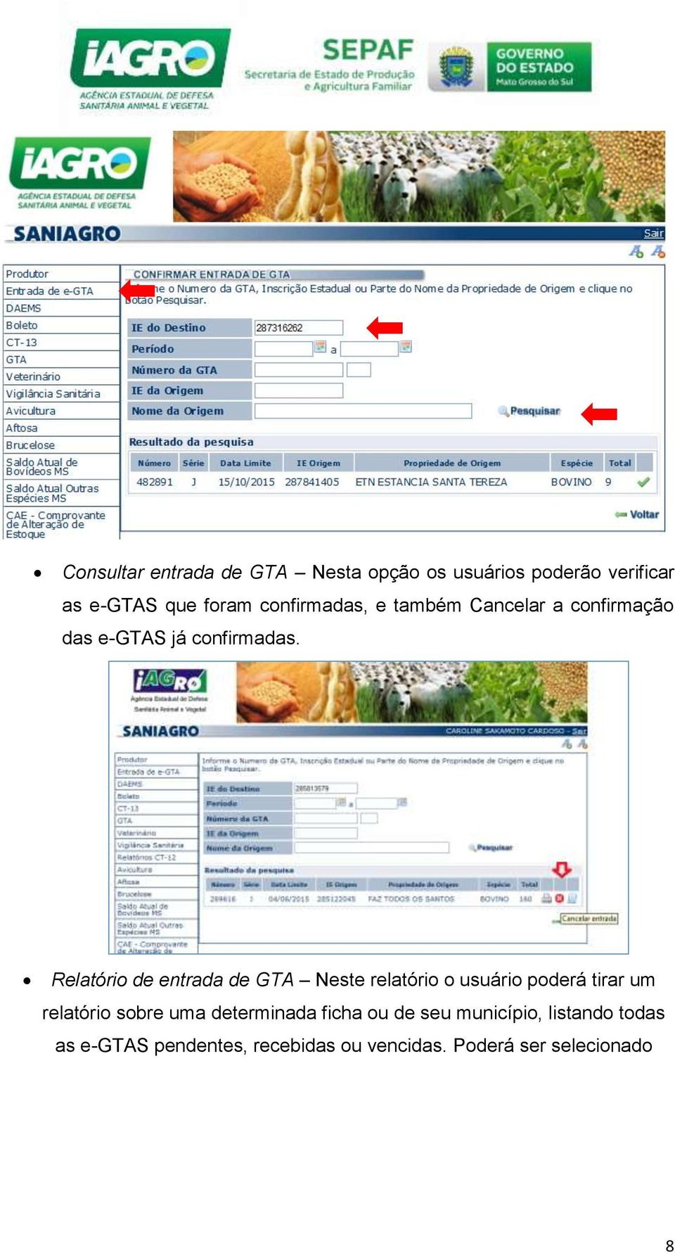 Relatório de entrada de GTA Neste relatório o usuário poderá tirar um relatório sobre uma