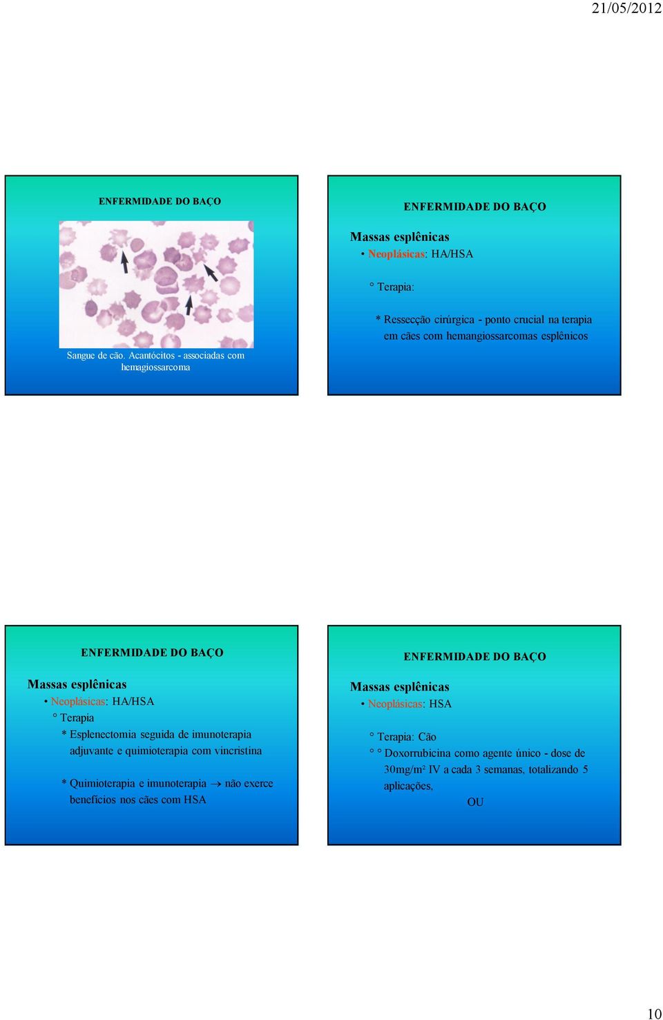 Acantócitos - associadas com hemagiossarcoma Massas esplênicas Neoplásicas: HA/HSA Terapia * Esplenectomia seguida de imunoterapia