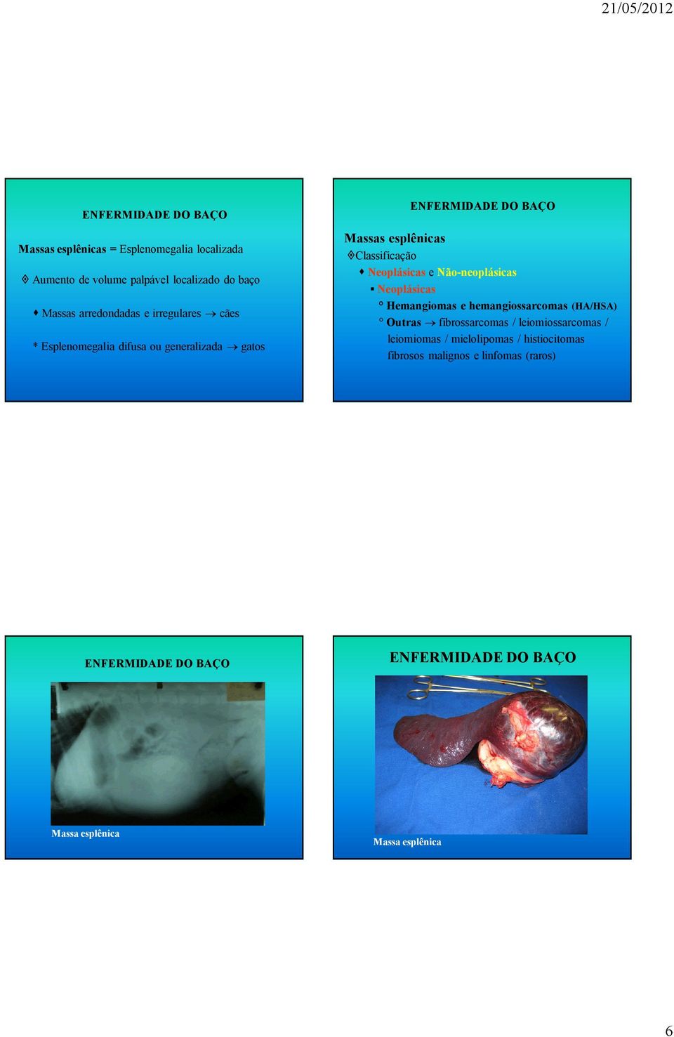 Não-neoplásicas Neoplásicas Hemangiomas e hemangiossarcomas (HA/HSA) Outras fibrossarcomas /
