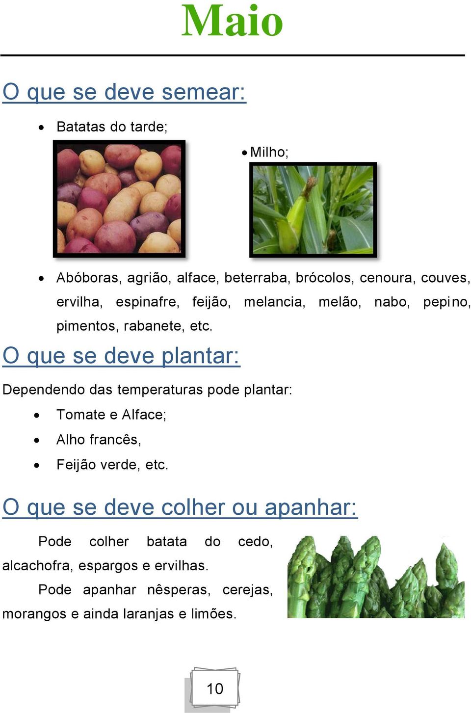 O que se deve plantar: Dependendo das temperaturas pode plantar: Tomate e Alface; Alho francês, Feijão verde, etc.