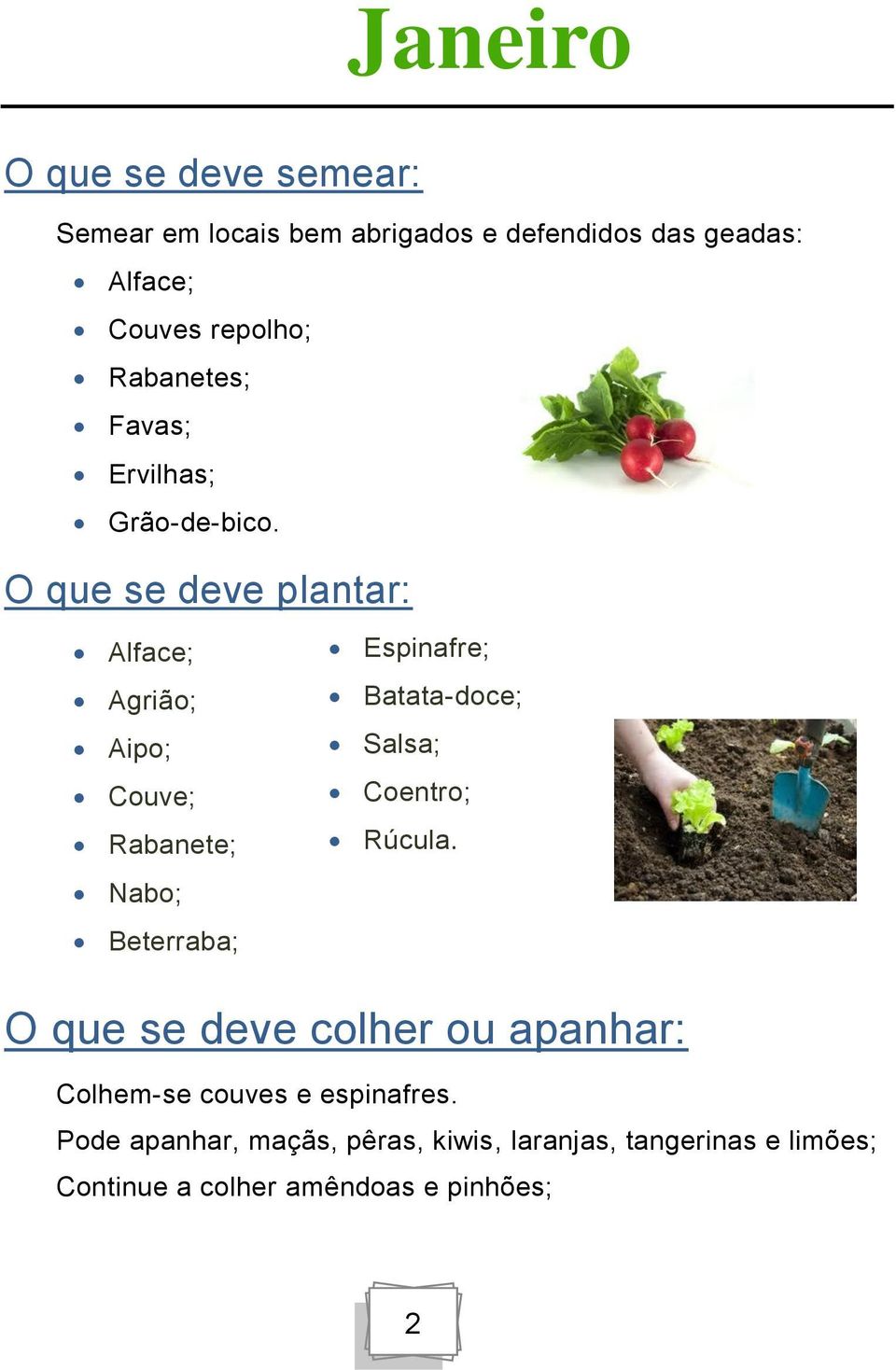 O que se deve plantar: Alface; Agrião; Aipo; Couve; Rabanete; Nabo; Beterraba; Espinafre; Batata-doce; Salsa;