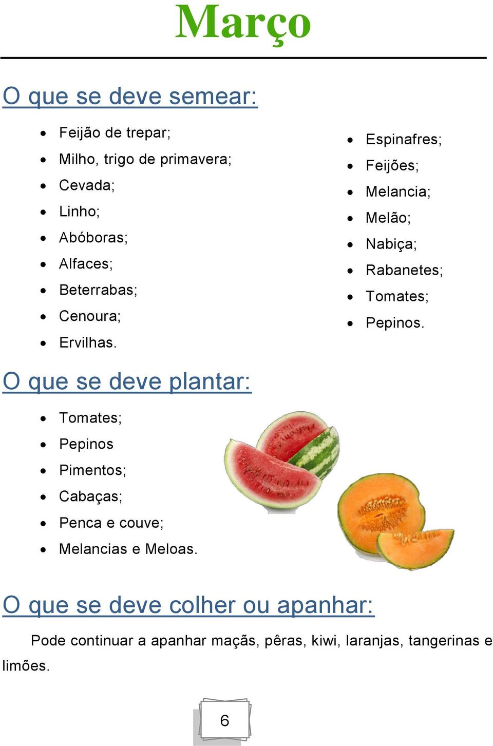 Espinafres; Feijões; Melancia; Melão; Nabiça; Rabanetes; Tomates; Pepinos.