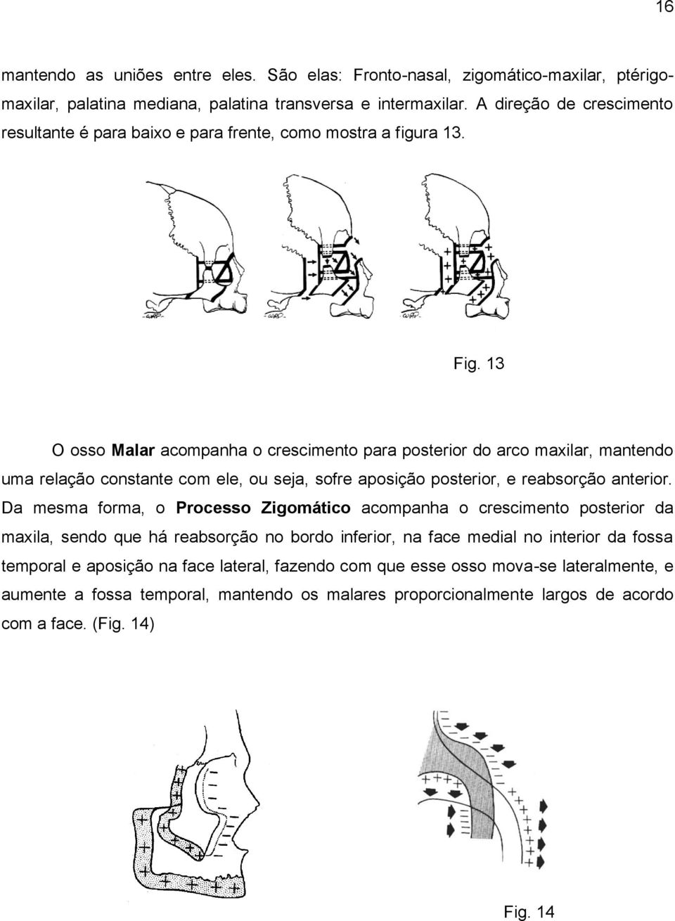 13 O osso Malar acompanha o crescimento para posterior do arco maxilar, mantendo uma relação constante com ele, ou seja, sofre aposição posterior, e reabsorção anterior.