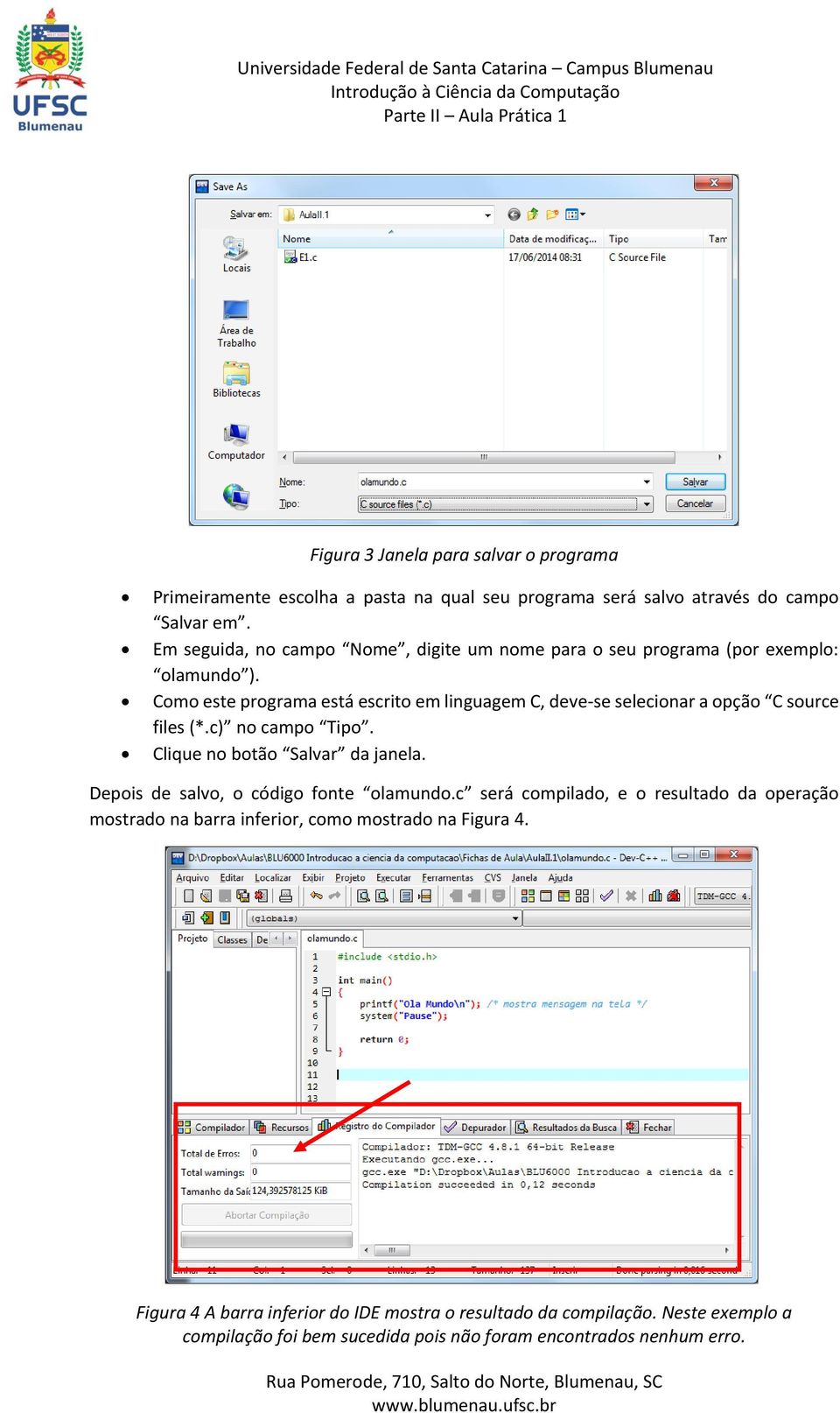 Como este programa está escrito em linguagem C, deve-se selecionar a opção C source files (*.c) no campo Tipo. Clique no botão Salvar da janela.