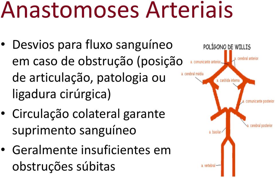 ligadura cirúrgica) Circulação colateral garante