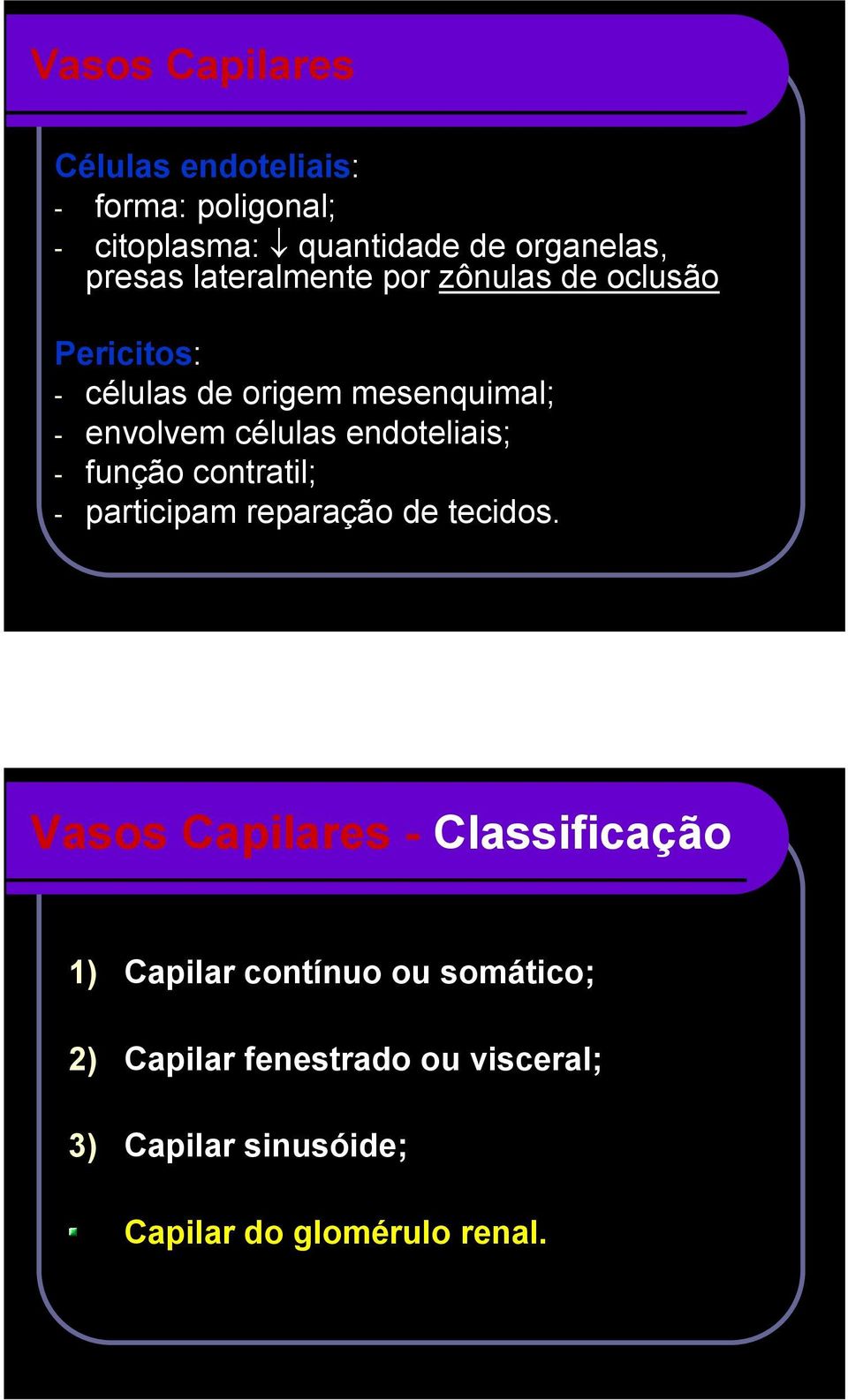 endoteliais; - função contratil; - participam reparação de tecidos.