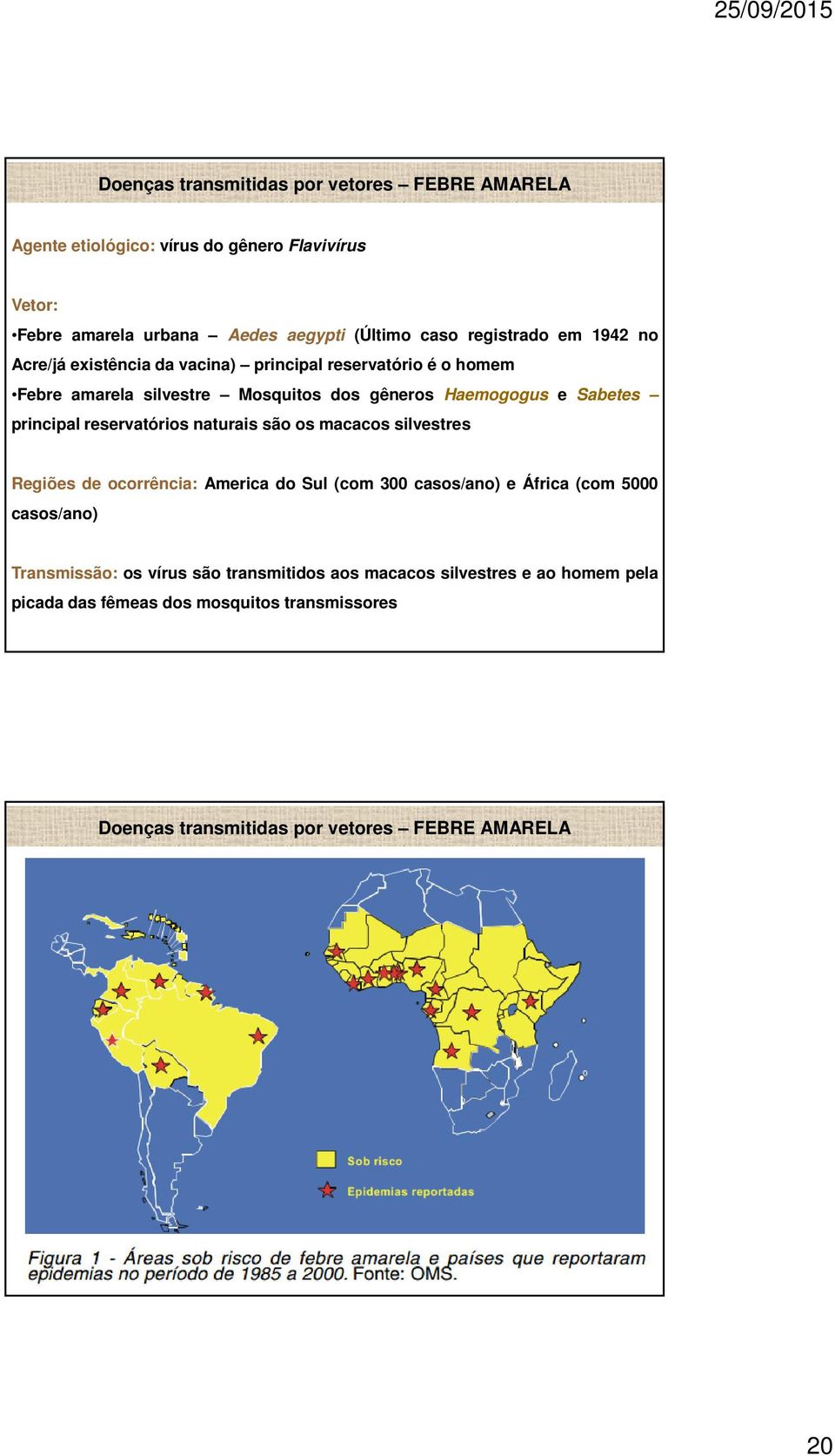 principal reservatórios naturais são os macacos silvestres Regiões de ocorrência: America do Sul (com 300 casos/ano) e África (com 5000 casos/ano)