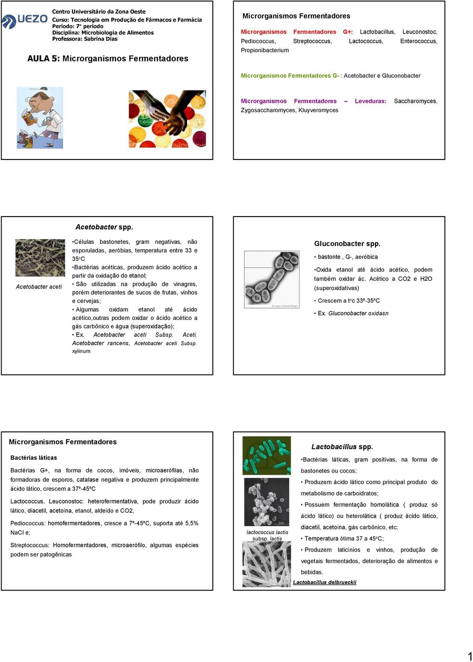 Fermentadores G- : Acetobacter e Gluconobacter Microrganismos Fermentadores Leveduras: Saccharomyces, Zygosaccharomyces, Kluyveromyces Acetobacter aceti Acetobacter spp.