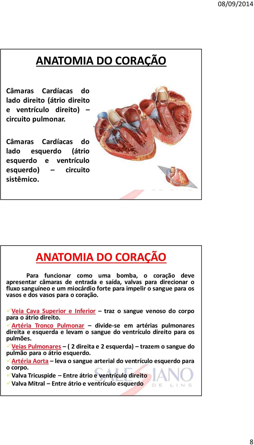 ANATOMIA DO CORAÇÃO Para funcionar como uma bomba, o coração deve apresentar câmaras de entrada e saída, valvas para direcionar o fluxosanguíneoe ummiocárdioforte paraimpelirosangue para os vasosedos