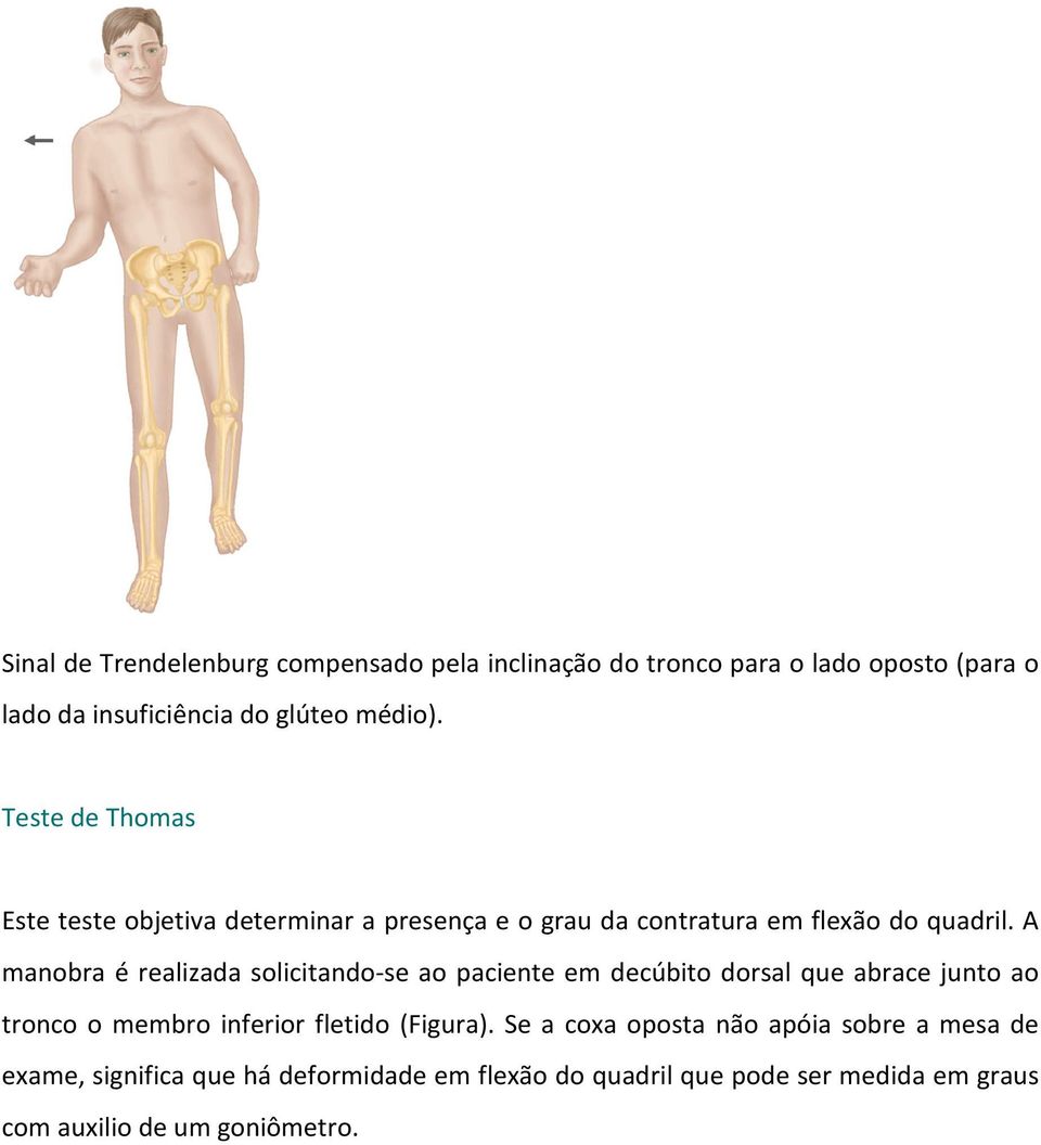 A manobra é realizada solicitando-se ao paciente em decúbito dorsal que abrace junto ao tronco o membro inferior fletido (Figura).