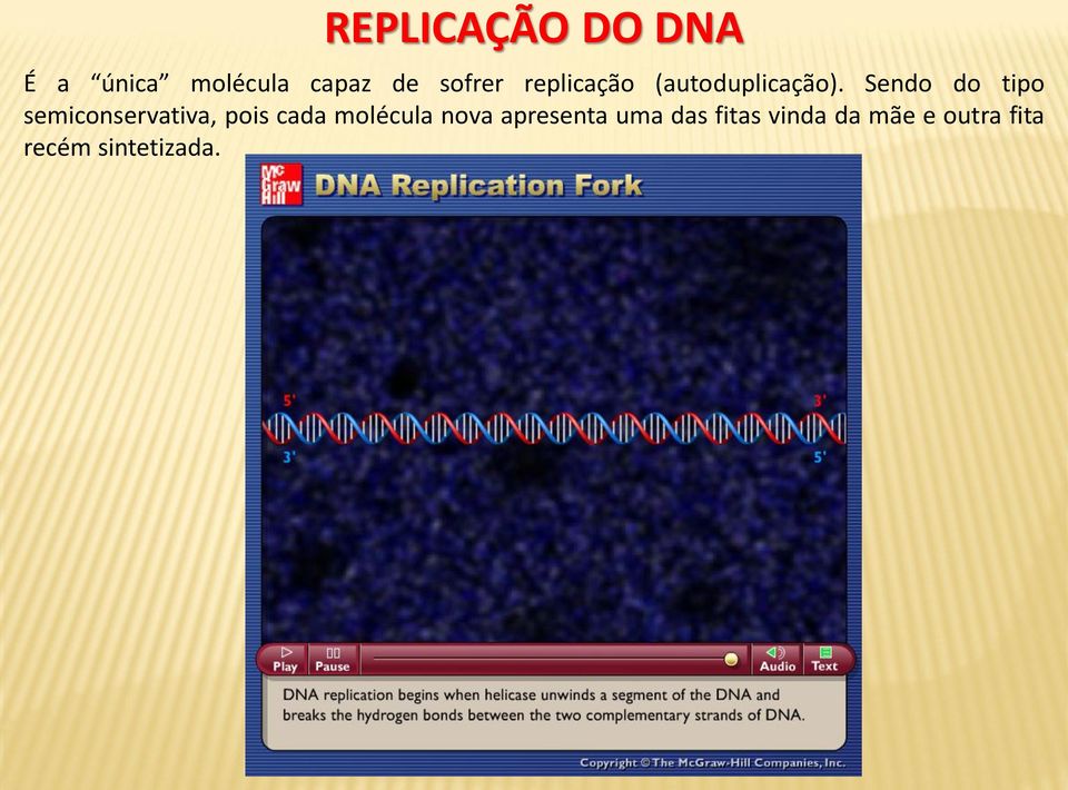 Sendo do tipo semiconservativa, pois cada molécula